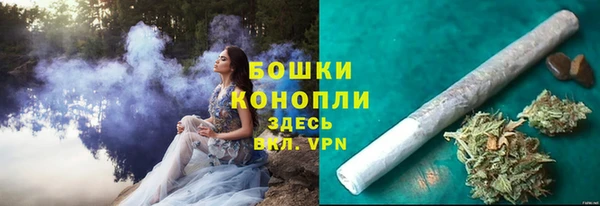 дурь Надым