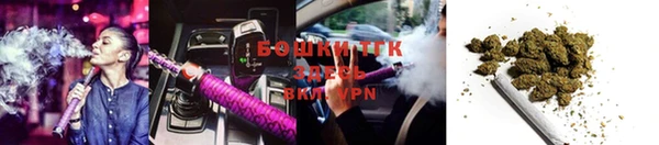 ПСИЛОЦИБИНОВЫЕ ГРИБЫ Наволоки