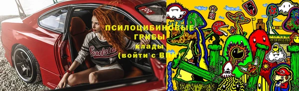 дурь Надым