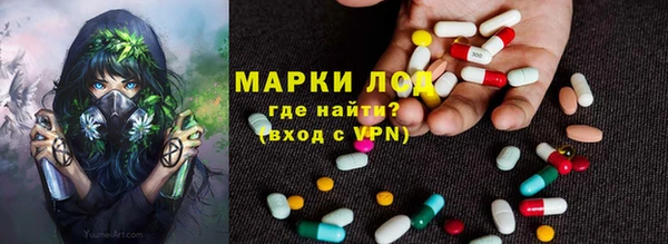 ПСИЛОЦИБИНОВЫЕ ГРИБЫ Наволоки