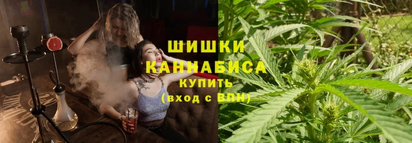 ПСИЛОЦИБИНОВЫЕ ГРИБЫ Наволоки