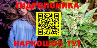 ГАЛЛЮЦИНОГЕННЫЕ ГРИБЫ Моздок