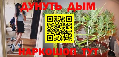 ГАЛЛЮЦИНОГЕННЫЕ ГРИБЫ Моздок