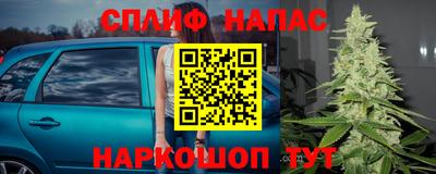 ГАЛЛЮЦИНОГЕННЫЕ ГРИБЫ Моздок