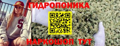 ГАЛЛЮЦИНОГЕННЫЕ ГРИБЫ Моздок