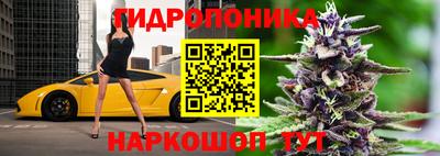 прущие грибы Можайск
