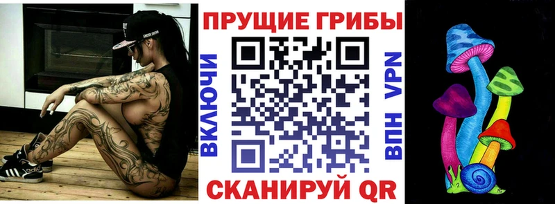 Галлюциногенные грибы GOLDEN TEACHER  купить наркоту  Химки 